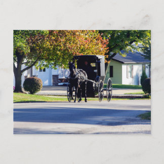 Amish Buggy, Sugarcreek, Ohio Postkarte