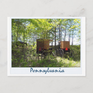 Amish Buggyen Postkarte