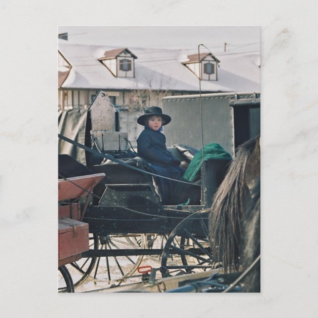 Amish Child in Buggy-Postkarte Postkarte (Vorderseite)