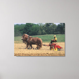 Amish Country einfache Leute in der Landwirtschaft Leinwanddruck