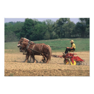 Amish Country einfache Menschen in der Landwirtsch Fotodruck