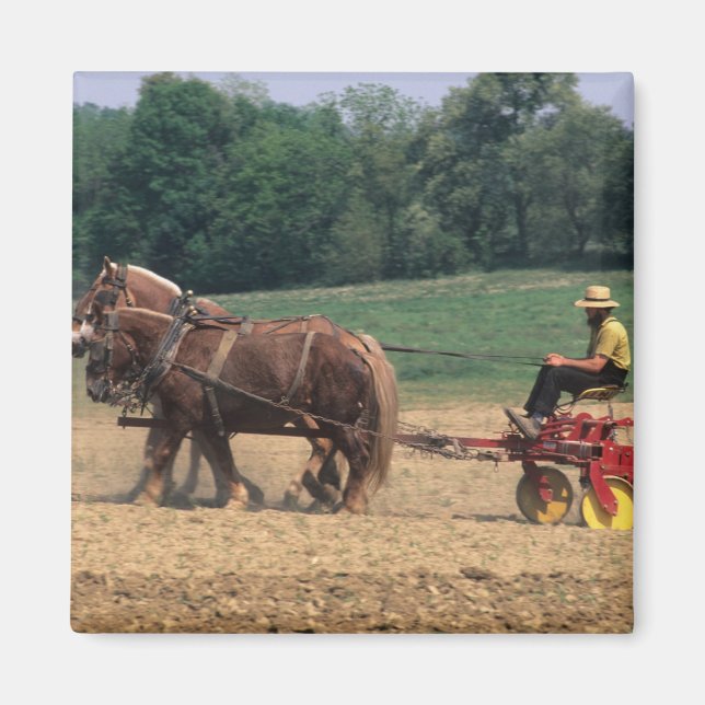 Amish Country einfache Menschen in der Landwirtsch Magnet (Vorne)