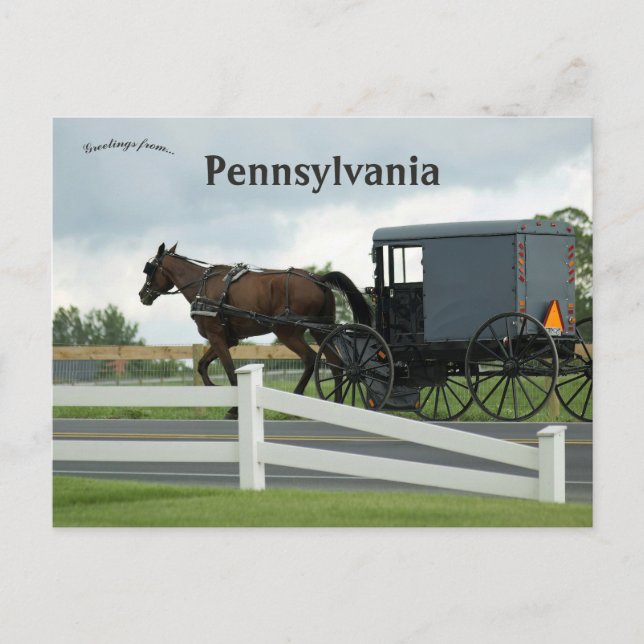 Amish Country in Lancaster Pennsylvania Postkarte (Vorderseite)