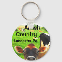 Amish Country Kühe! Lancaster