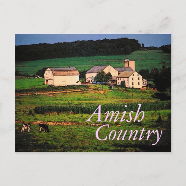 Amish Country Postcard Postkarte (Vorderseite)