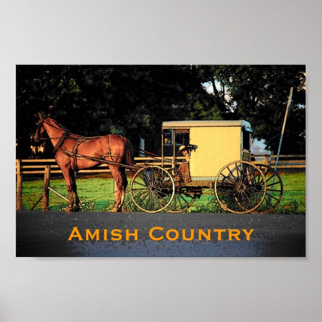 Amish Country Poster (Vorne)
