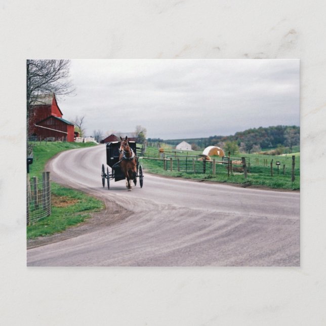 Amish Country Road Postkarte (Vorderseite)