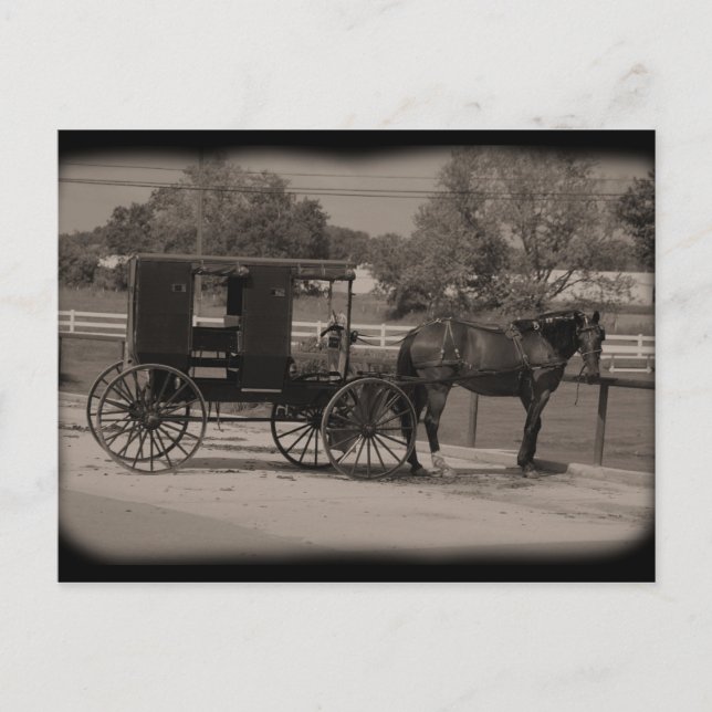 Amish Country Sugarcreek, Ohio Postkarte (Vorderseite)