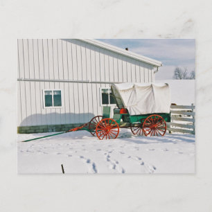 Amish Covered Wagon-Postcard Postkarte