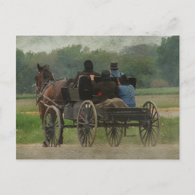 Amish Family Outing Postkarte (Vorderseite)