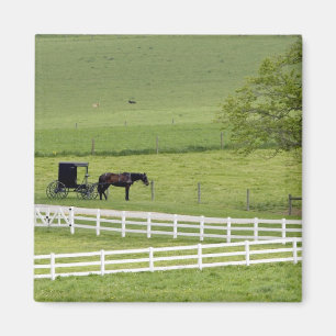 Amish-Farm mit Pferd und Kutsche nahe Berlin, Magnet