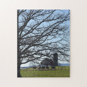 Amish Farm Puzzle