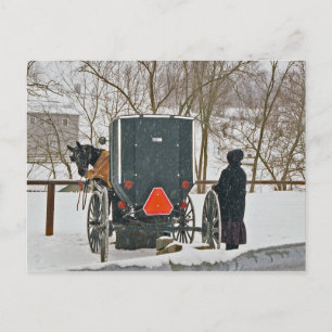 Amish Frau mit Pferd und Buggy Postkarte