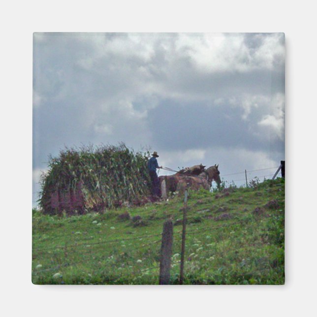 Amish Harvest Magnet (Vorne)