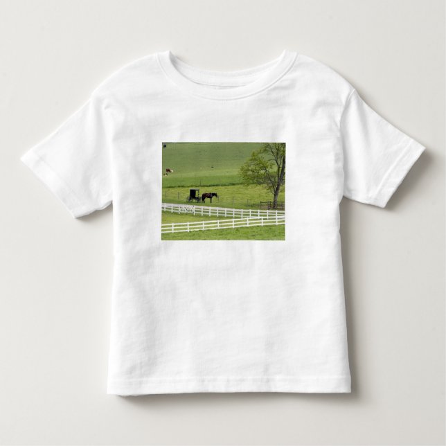 Amish-Hof mit Pferd und Buggy in der Nähe von Berl Kleinkind T-shirt (Vorderseite)