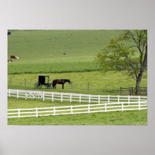 Amish-Hof mit Pferd und Kutsche nahe Berlin, Poster