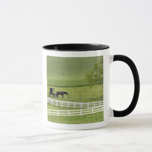 Amish-Hof mit Pferd und Kutsche nahe Berlin, Tasse