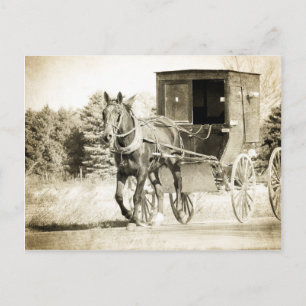 Amish Hora und Buggy Sepia Kalona Iowa Postkarte