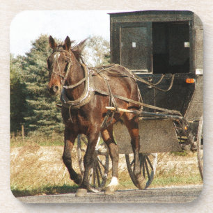 Amish Horse and Buggy Untersetzer