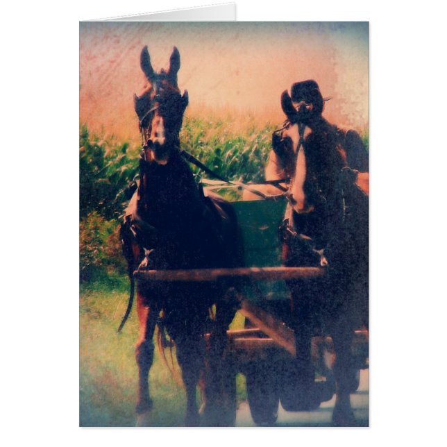 Amish Horse Team (Vorne)