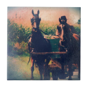 Amish Horse Team Fliese