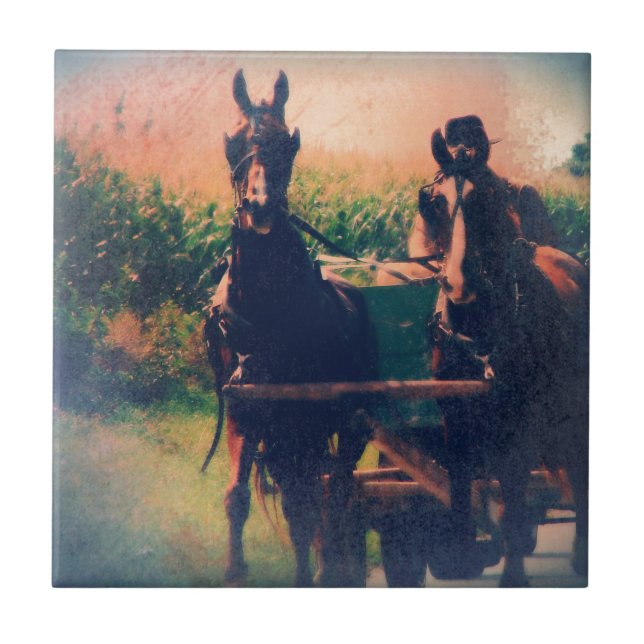 Amish Horse Team Fliese (Vorderseite)
