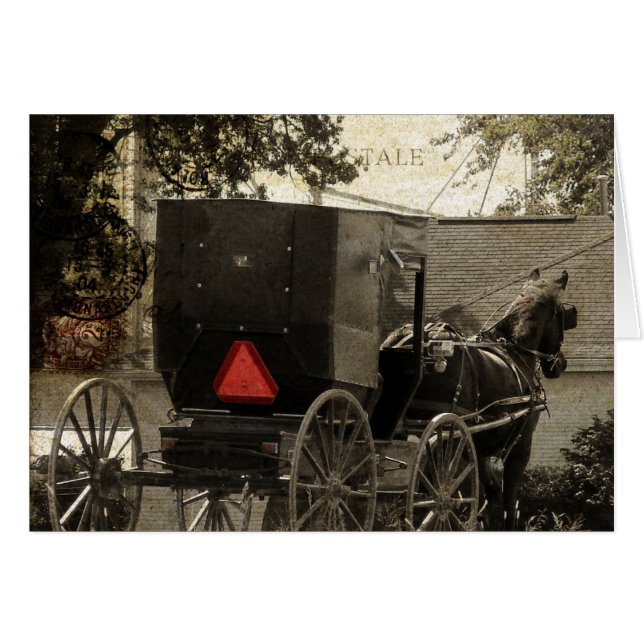 Amish Horst und Buggy Sepia Postcard (Vorderseite (Horizontal))