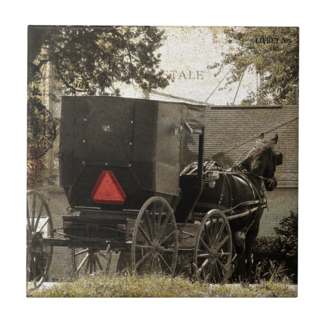 Amish Horst und Buggy Sepia Postcard Fliese (Vorderseite)
