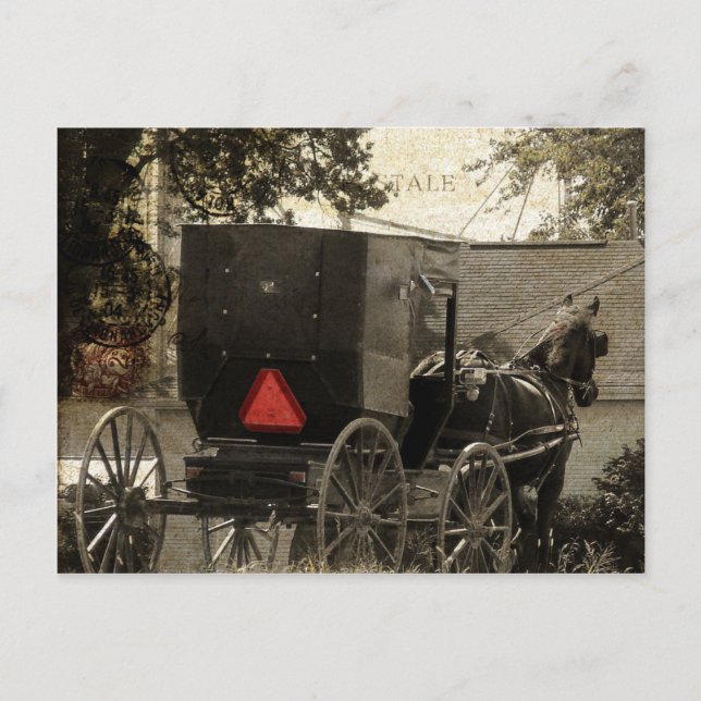 Amish Horst und Buggy Sepia Postcard Postkarte (Vorderseite)