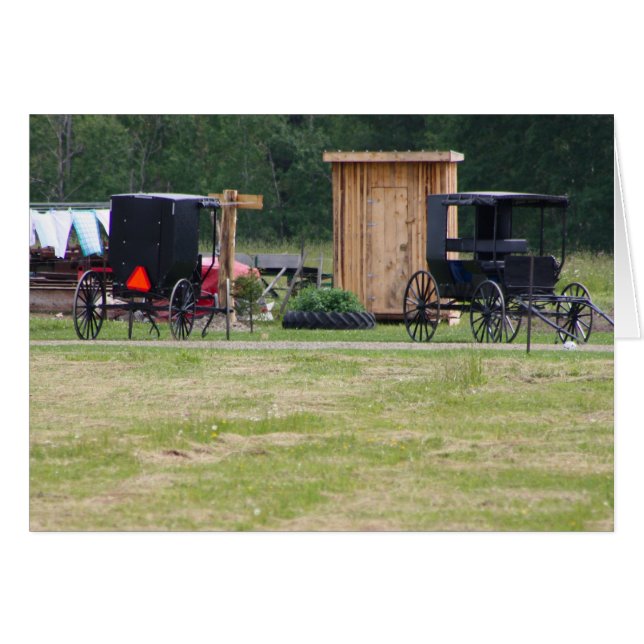 Amish Life (Vorderseite (Horizontal))