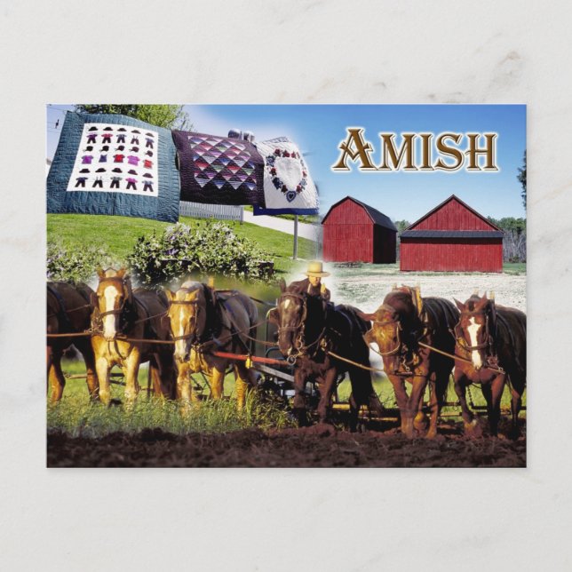 Amish Life in Lancaster, Pennsylvania Postkarte (Vorderseite)