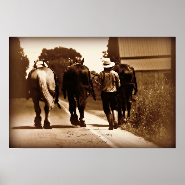 Amish Life Poster (Vorne)