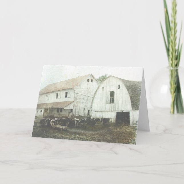 Amish-Milch Karte (Vorderseite)