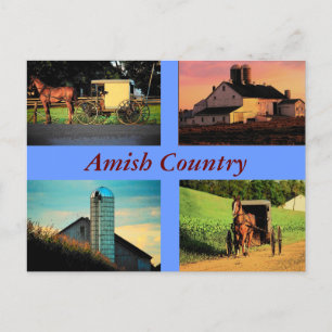 Amish Montage Postcard Postkarte