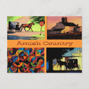 Amish Montage Postcard Postkarte