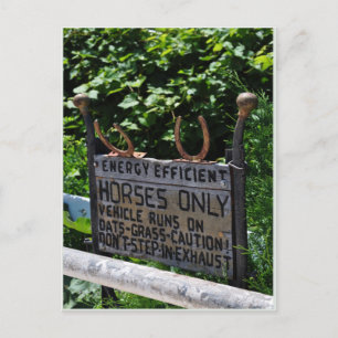 Amish Parking Postkarte