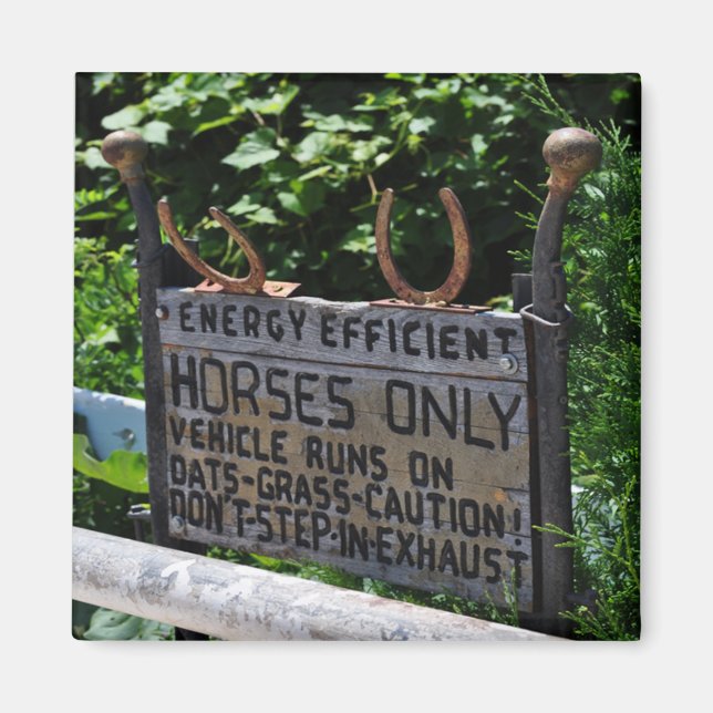 Amish Parking Sign Magnet (Vorne)