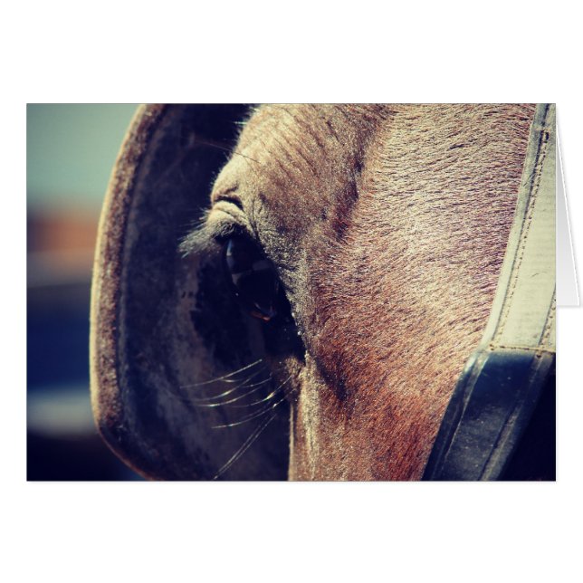 Amish Pferd (Vorderseite (Horizontal))