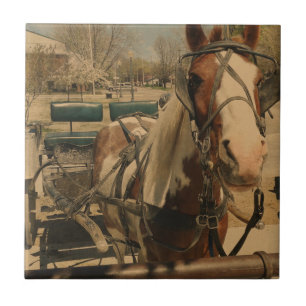 Amish Pferd, Ein Pin Fliese