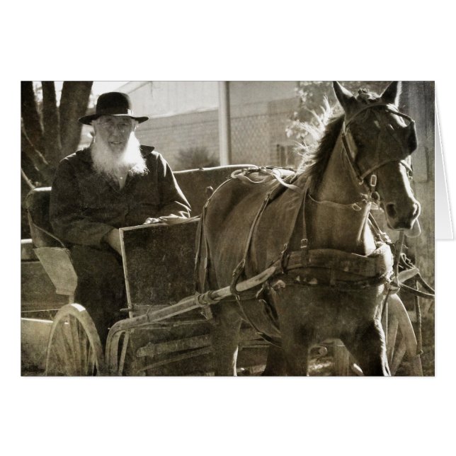 Amish Pferd ist Albern mit Zunge verklemmt (Vorderseite (Horizontal))