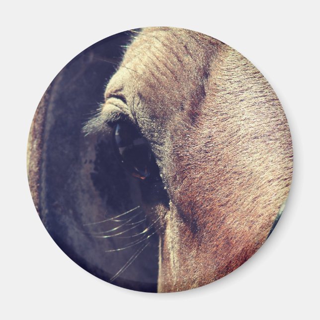 Amish Pferd Magnet (Vorne)