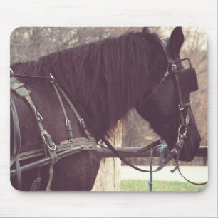 Amish Pferd Mousepad