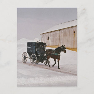 Amish Pferd und Buggy auf der Winterstraße-Postkar Postkarte