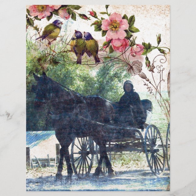 Amish Pferd und Buggy Birdie Texture (Vorderseite)