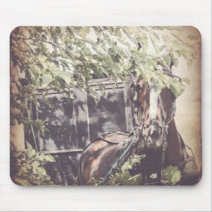 Amish Pferd und Buggy im Schatten Mousepad