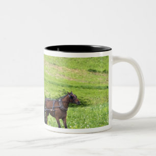Amish-Pferd und Buggy in der Nähe von Berlin, Ohio Zweifarbige Tasse