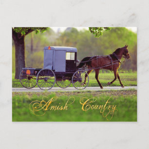 Amish Pferd und Buggy, Lancaster, PA Postkarte