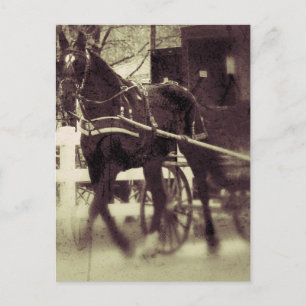 Amish Pferd und Buggy ländliche Iowa Fotografie Postkarte