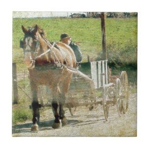 Amish Pferd und Warenkorb Fliese
