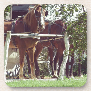 Amish Pferde an der Hitching Post rund um Äpfel Getränkeuntersetzer